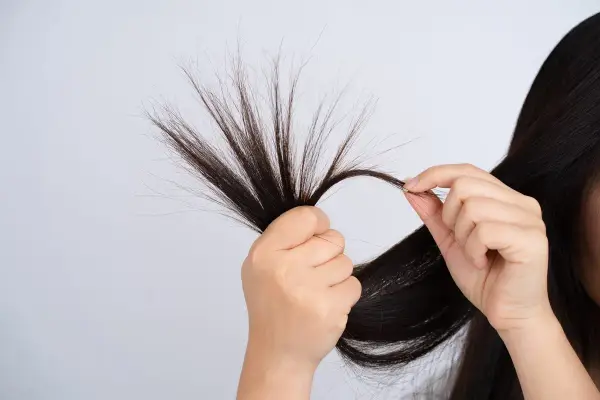 Mani che esaminano ciocche di capelli fini che si spezzano, mostrando la fragilità e la necessità di cura.