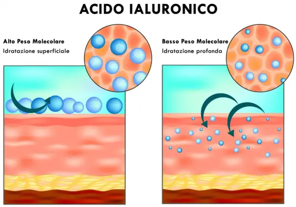 Acido ialuronico: alto peso molecolare per idratazione superficiale, basso peso molecolare per idratazione profonda.